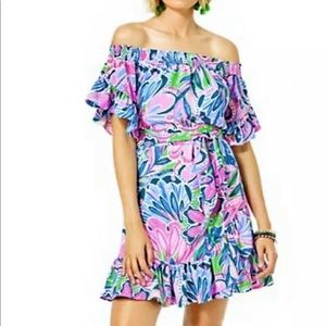 HARD TO FIND Lilly Pulitzer Maddyln Stretch dress Size XL